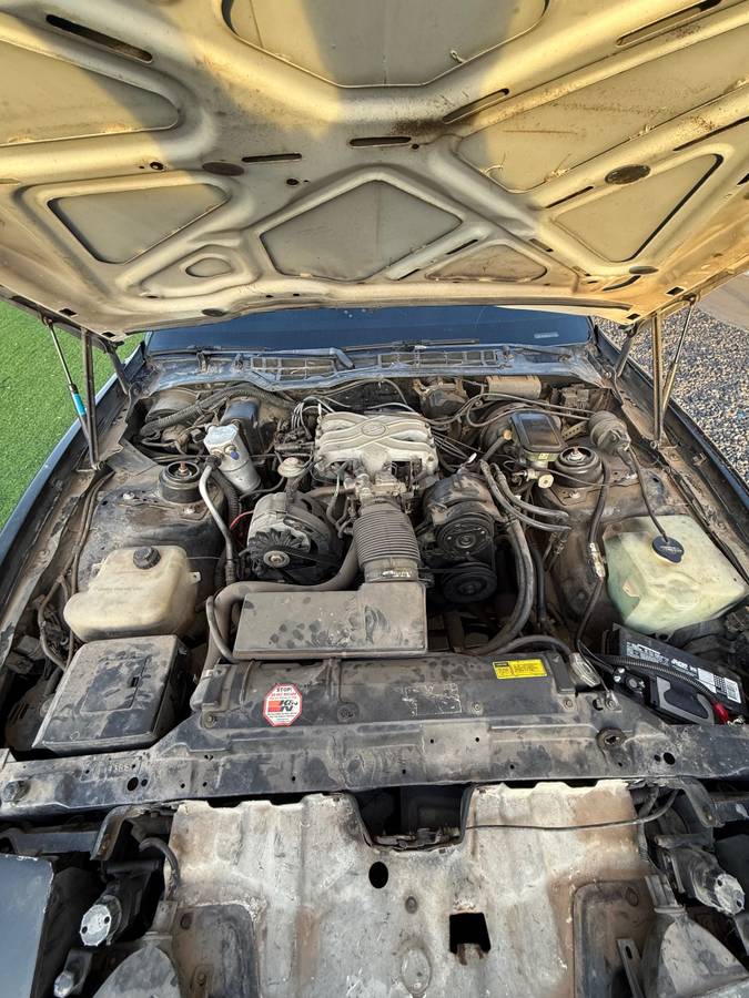 Pontiac-firebird-trans-am-1986-2