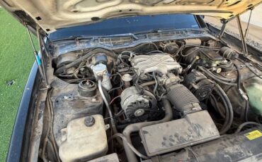 Pontiac-firebird-trans-am-1986-7