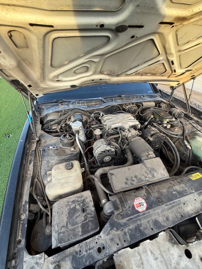 Pontiac-firebird-trans-am-1986-7