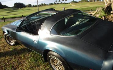 Pontiac-firebird-trans-am-ws6-1979-1