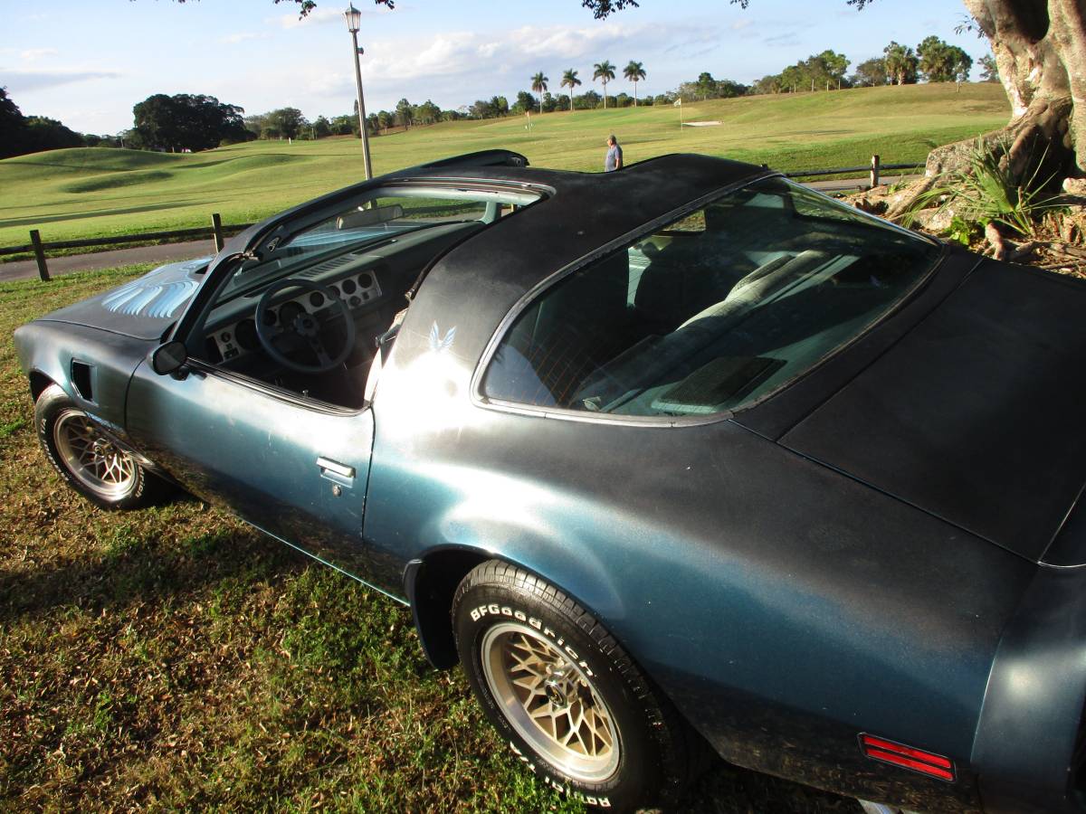 Pontiac-firebird-trans-am-ws6-1979-1