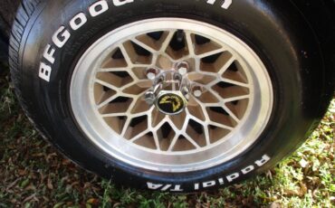 Pontiac-firebird-trans-am-ws6-1979-10