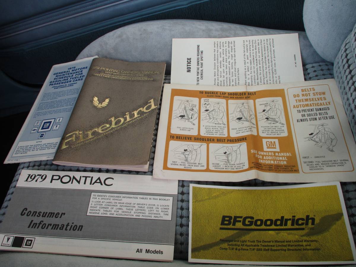 Pontiac-firebird-trans-am-ws6-1979-11