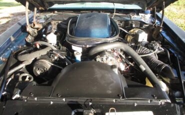 Pontiac-firebird-trans-am-ws6-1979-19