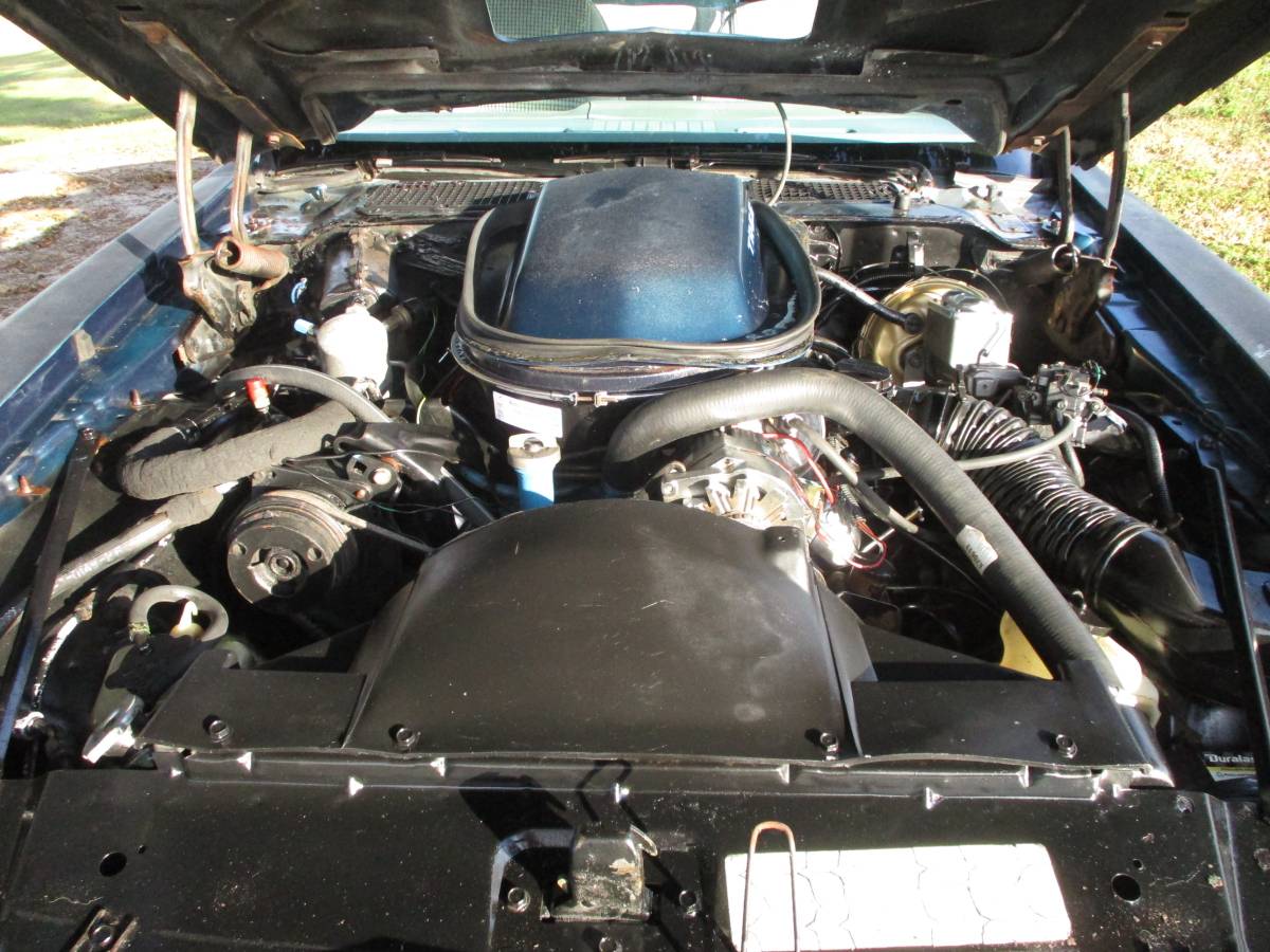 Pontiac-firebird-trans-am-ws6-1979-19