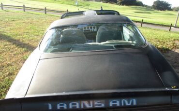 Pontiac-firebird-trans-am-ws6-1979-20