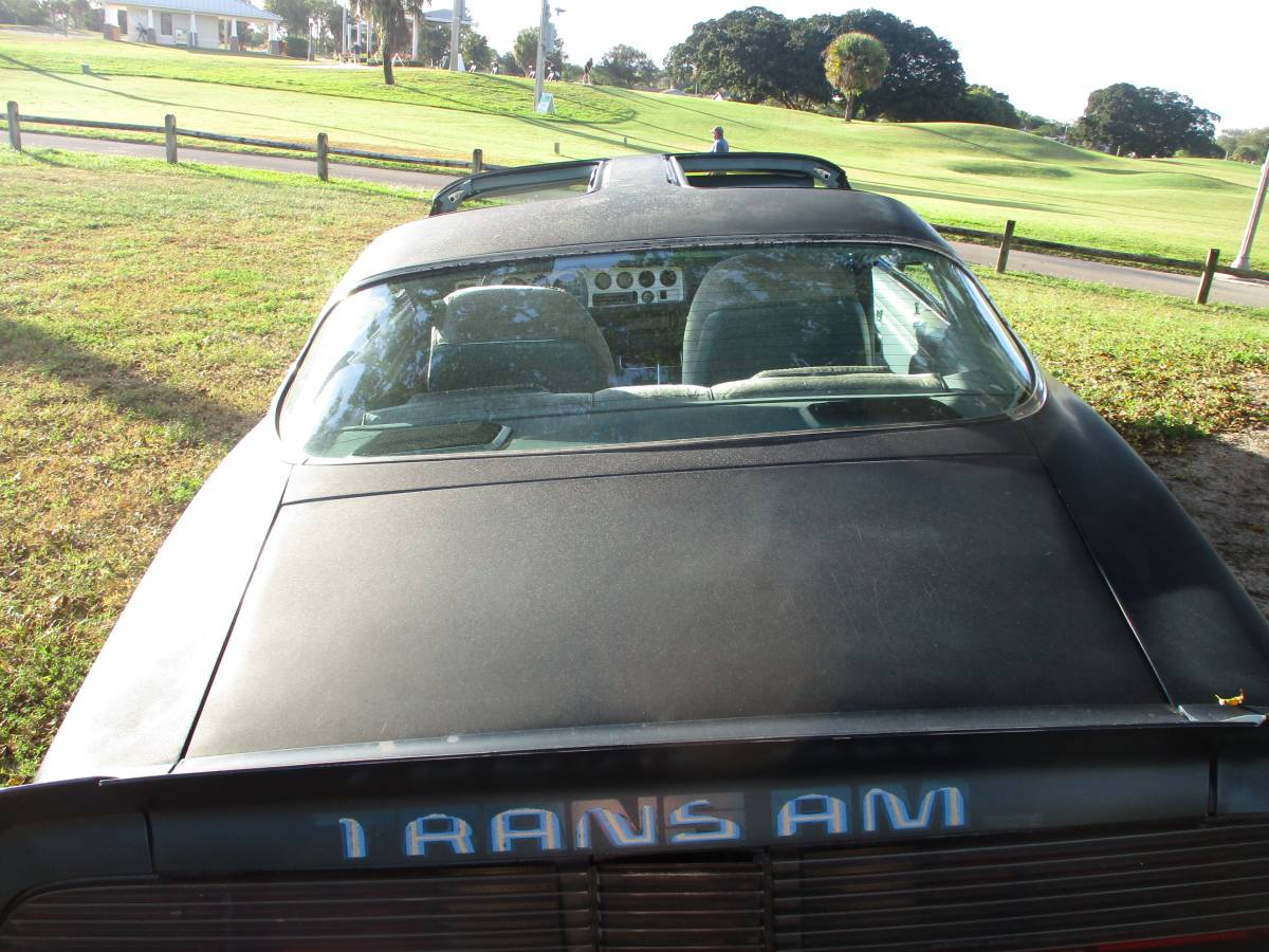 Pontiac-firebird-trans-am-ws6-1979-20