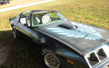 Pontiac-firebird-trans-am-ws6-1979-21