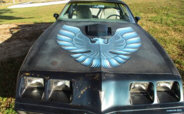 Pontiac-firebird-trans-am-ws6-1979-22