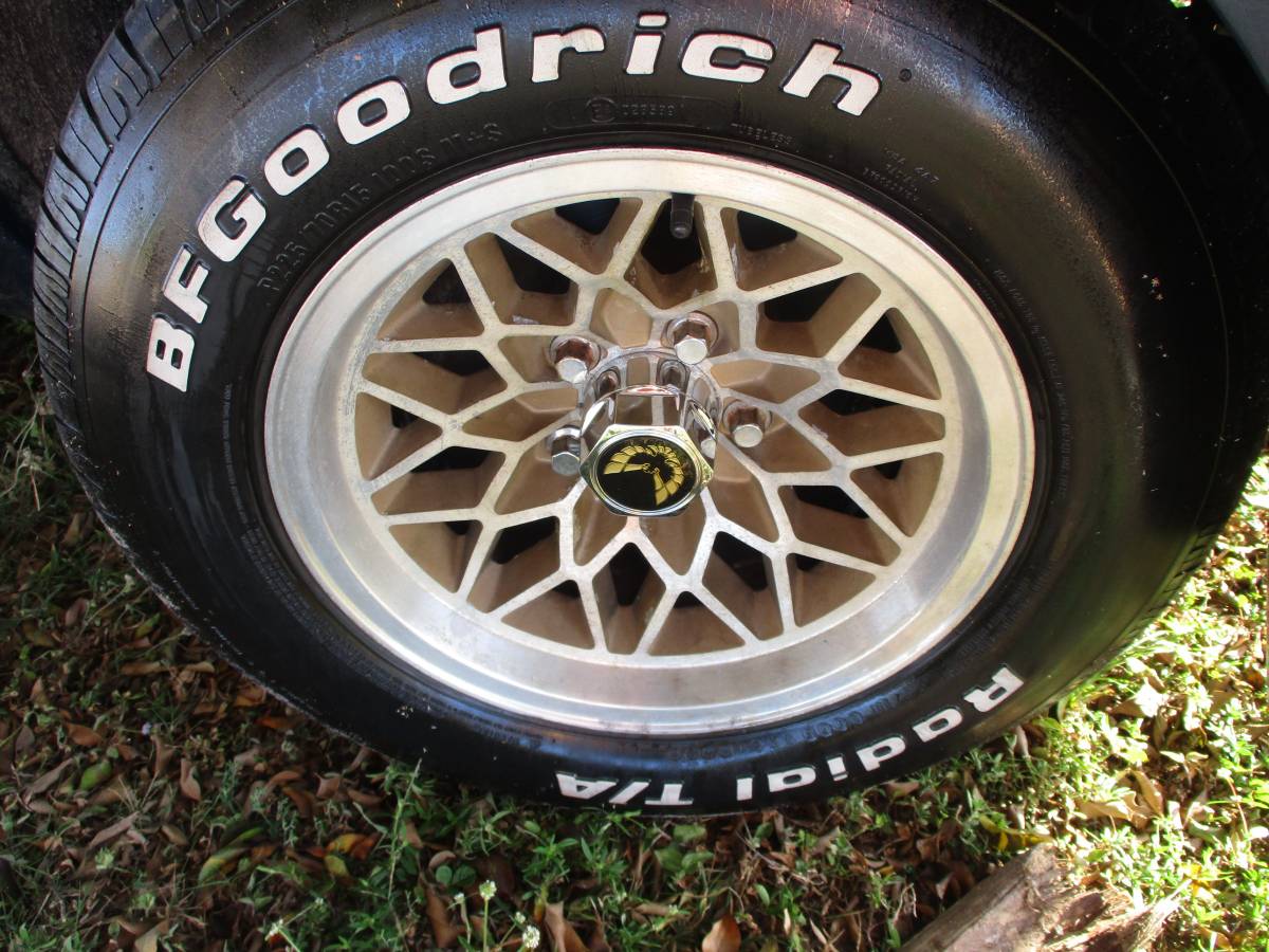 Pontiac-firebird-trans-am-ws6-1979-26