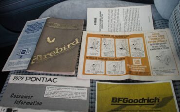 Pontiac-firebird-trans-am-ws6-1979-27