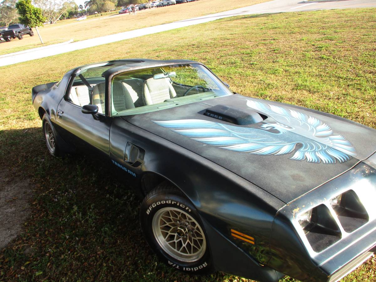 Pontiac-firebird-trans-am-ws6-1979-4