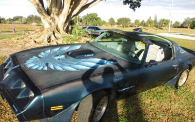 Pontiac firebird trans am ws6 1979