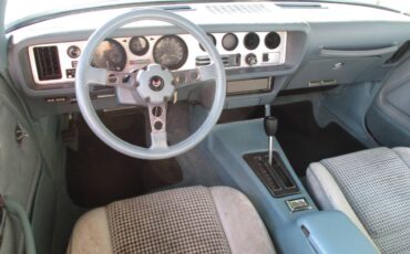 Pontiac-firebird-trans-am-ws6-1979-6