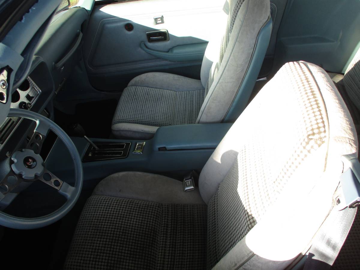 Pontiac-firebird-trans-am-ws6-1979-7