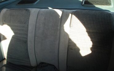 Pontiac-firebird-trans-am-ws6-1979-8