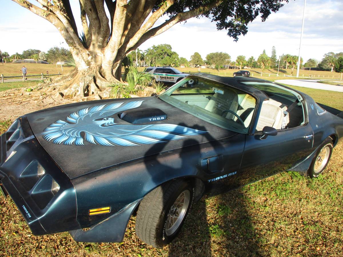 Pontiac-firebird-trans-am-ws6-1979