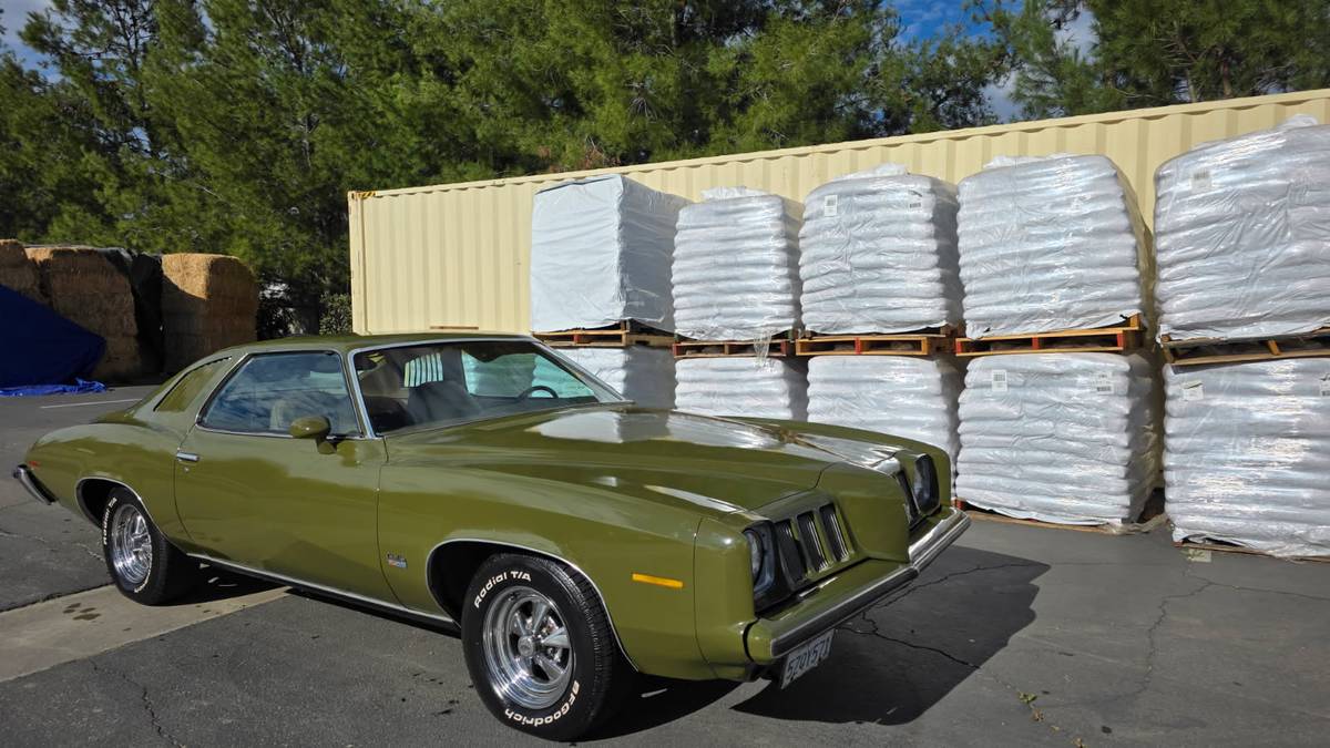 Pontiac-grand-am-1973-8