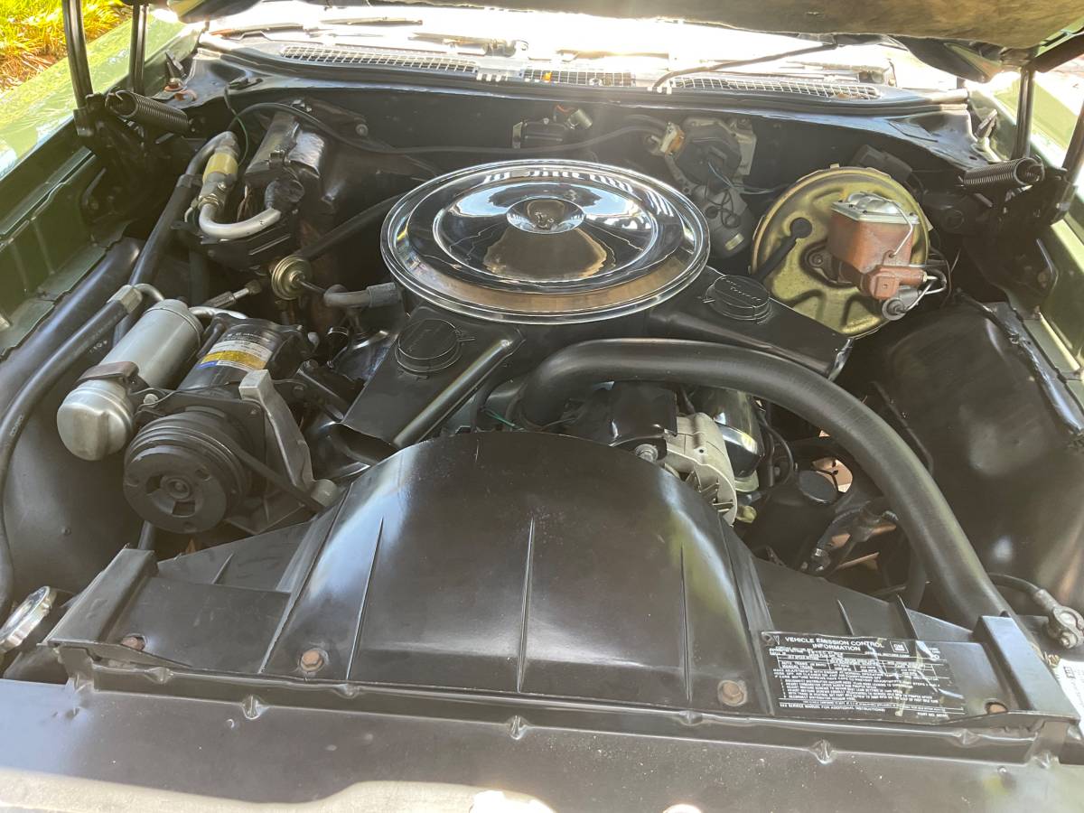 Pontiac-gto-1970-green-5