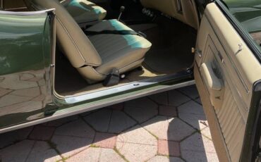 Pontiac-gto-1970-green-8