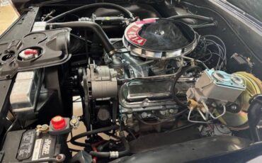 Pontiac-lemans-1965-blue-12