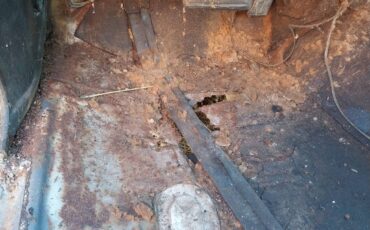 Pontiac-lemans-1967-10