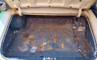 Pontiac-lemans-1967-6