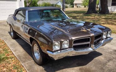 Pontiac-lemans-sport-convertible-1972-brown