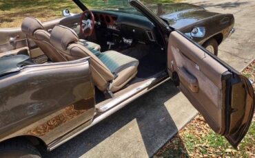 Pontiac-lemans-sport-convertible-1972-brown-6