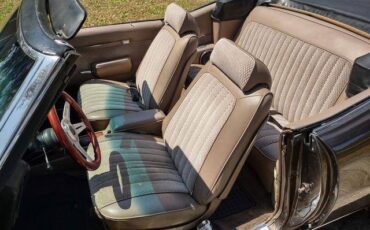 Pontiac-lemans-sport-convertible-1972-brown-7