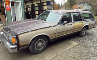 Pontiac-parisienne-1985-brown-1