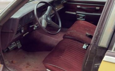 Pontiac-parisienne-1985-brown-2