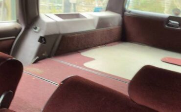 Pontiac-parisienne-1985-brown-3