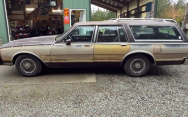 Pontiac-parisienne-1985-brown