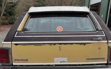 Pontiac-parisienne-1985-brown-5