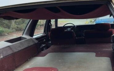 Pontiac-parisienne-1985-brown-6