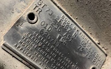 Pontiac-trans-am-1973-10