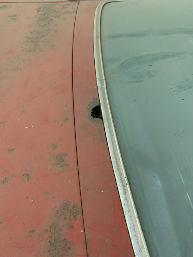 Pontiac-trans-am-1973-15