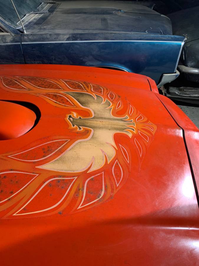 Pontiac-trans-am-1973-4