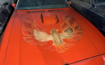 Pontiac-trans-am-1973-7