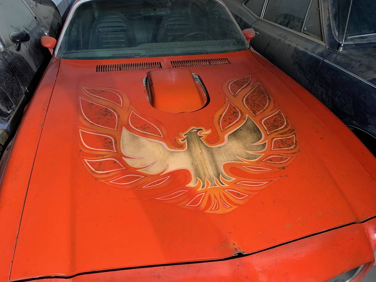 Pontiac-trans-am-1973-7