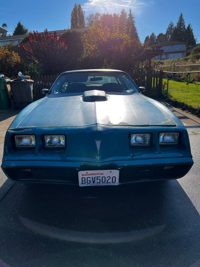 Pontiac-trans-am-1979-blue-12