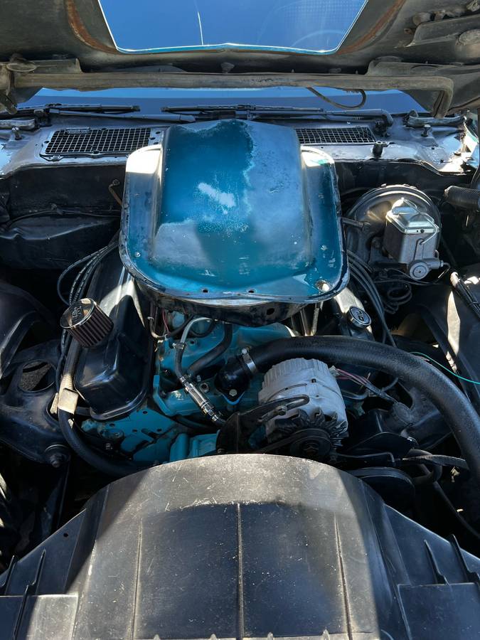 Pontiac-trans-am-1979-blue-18