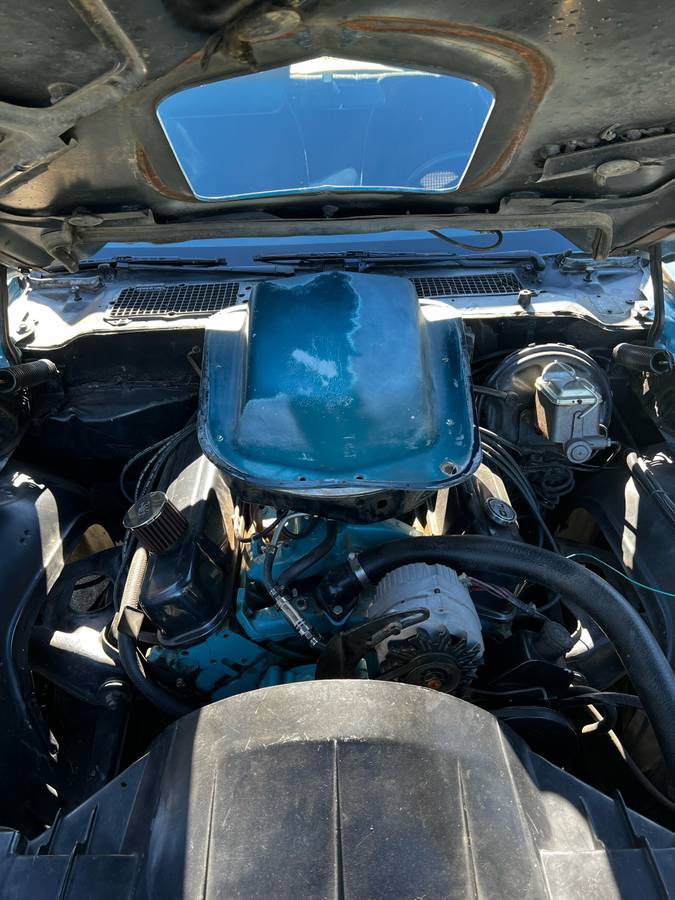 Pontiac-trans-am-1979-blue-20