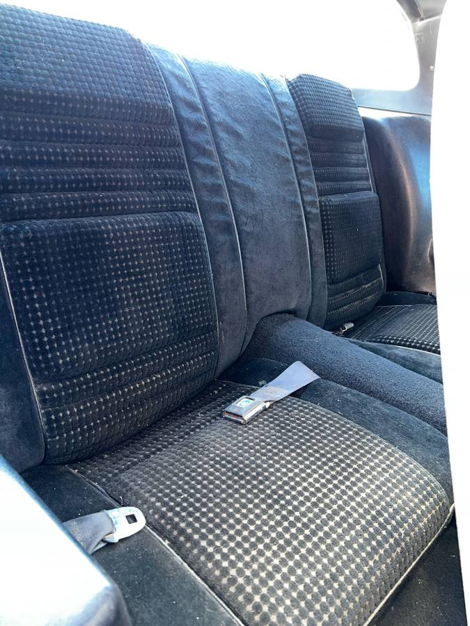 Pontiac-trans-am-1979-blue-4