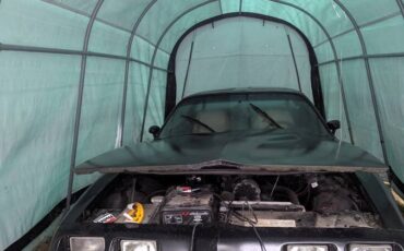 Pontiac-trans-am-1981-1