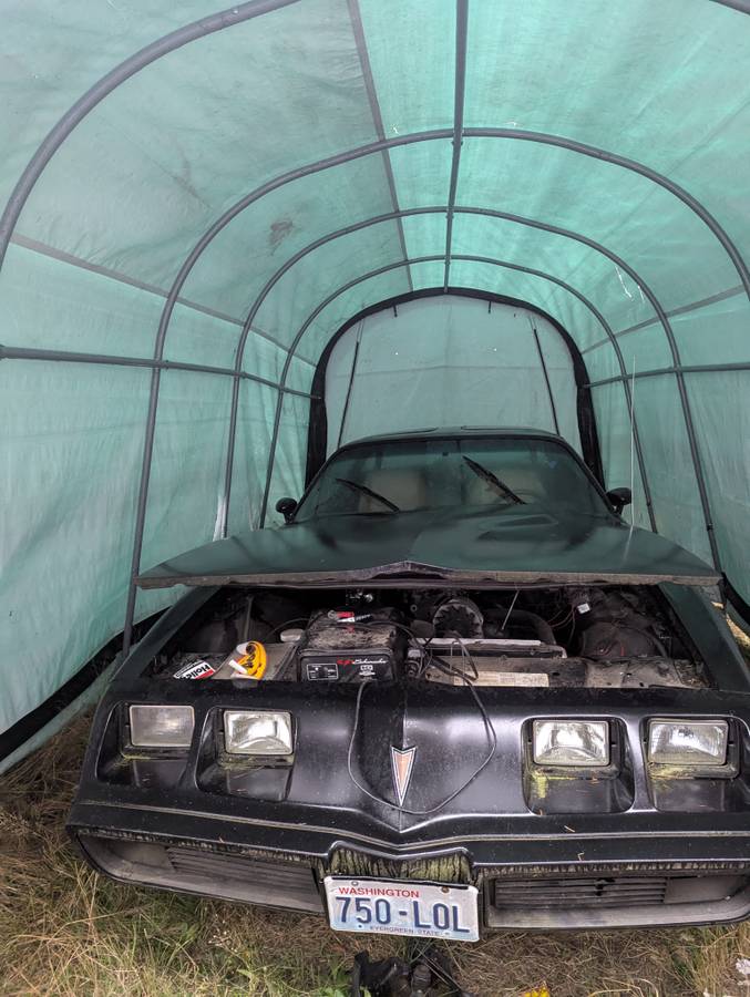 Pontiac-trans-am-1981-1