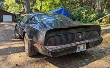 Pontiac-trans-am-1981-2