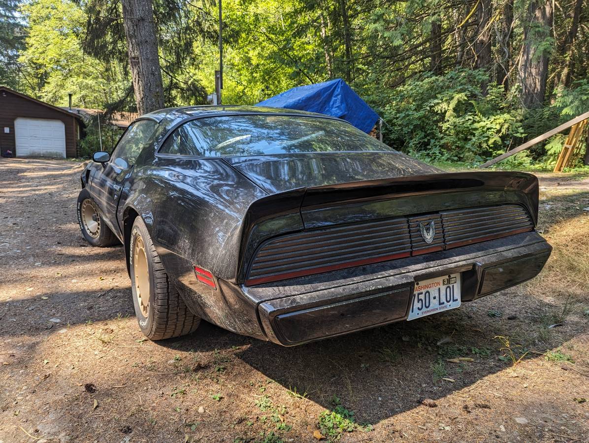 Pontiac-trans-am-1981-2