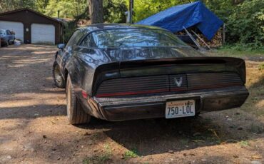 Pontiac-trans-am-1981-3